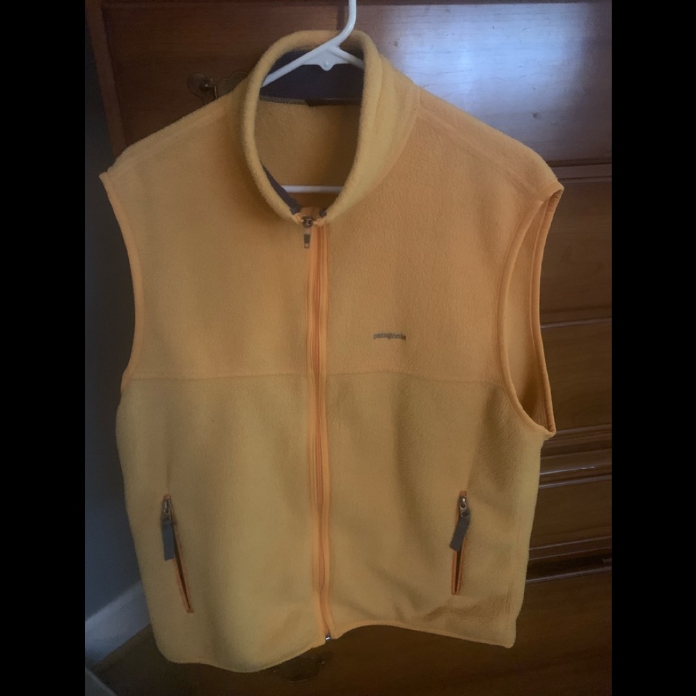 Patagonia Synchilla vest